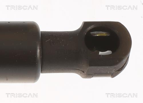 Vérin (Vérin de hayon) Triscan A/S 8710 25283