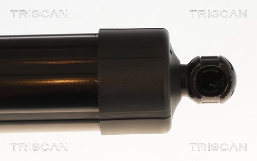 Vérin de hayon, de coffre (Vérin de hayon) Triscan A/S 8710 25301