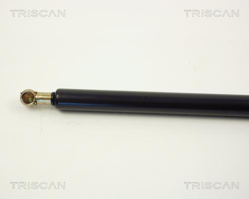 Vérin (Vérin de hayon) Triscan A/S 8710 2701