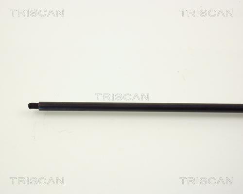 Vérin (Vérin de hayon) Triscan A/S 8710 2701