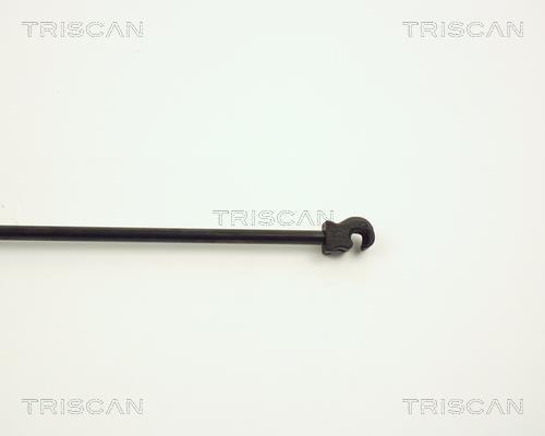 Vérin (Vérin de hayon) Triscan A/S 8710 2706