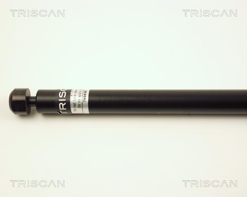 Vérin (Vérin de hayon) Triscan A/S ref. 8710 27101