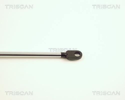 Vérin (Vérin de hayon) Triscan A/S ref. 8710 27101