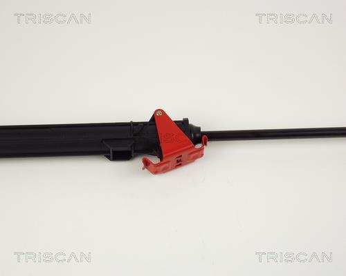Vérin (Vérin de hayon) Triscan A/S ref. 8710 27101