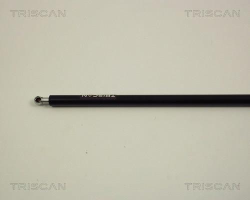 Vérin (Vérin de hayon) Triscan A/S ref. 8710 27102