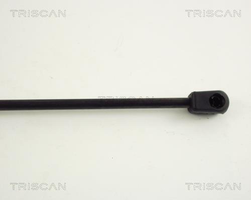 Vérin (Vérin de hayon) Triscan A/S ref. 8710 27104