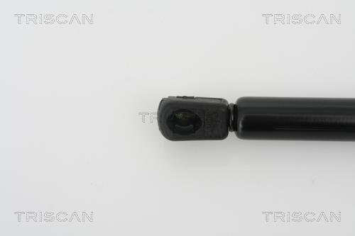 Cilindro Triscan A/S 8710 27105