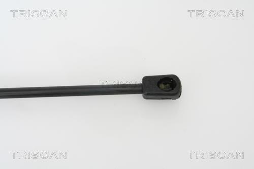 Cilindro Triscan A/S 8710 27105