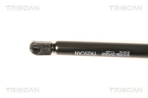 Vérin (Vérin de hayon) Triscan A/S 8710 27106
