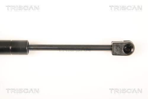 Vérin (Vérin de hayon) Triscan A/S 8710 27106