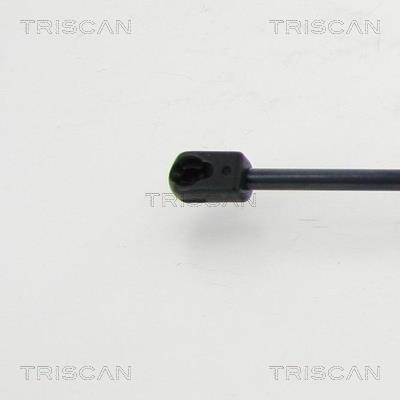 Vérin (Vérin de hayon) Triscan A/S 8710 27109