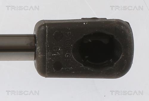 Cilindro Triscan A/S 8710 27111