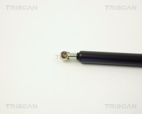 Vérin (Vérin de hayon) Triscan A/S ref. 8710 2711