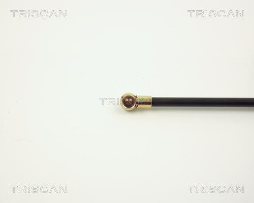 Vérin (Vérin de hayon) Triscan A/S ref. 8710 2711