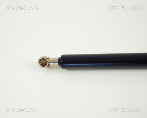 Vérin (Vérin de hayon) Triscan A/S ref. 8710 2712