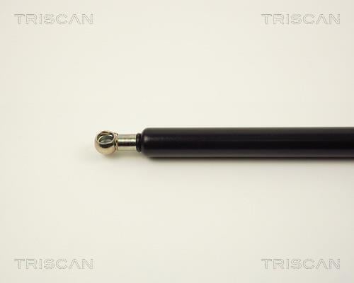 Vérin (Vérin de hayon) Triscan A/S 8710 2715