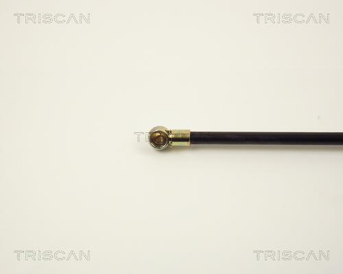 Vérin (Vérin de hayon) Triscan A/S 8710 2715