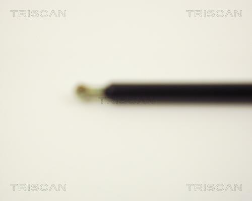 Vérin (Vérin de hayon) Triscan A/S 8710 2716