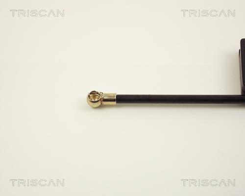 Vérin (Vérin de hayon) Triscan A/S 8710 2716