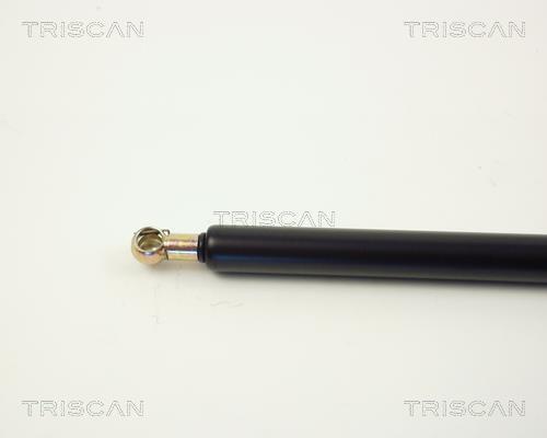 Vérin (Vérin de hayon) Triscan A/S ref. 8710 2719