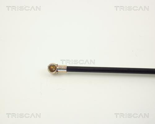 Vérin (Vérin de hayon) Triscan A/S ref. 8710 2719