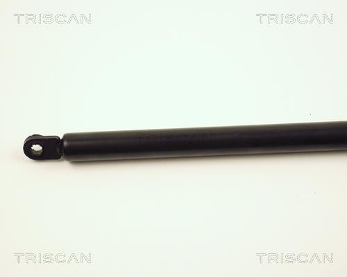 Vérin (Vérin de hayon) Triscan A/S 8710 27202