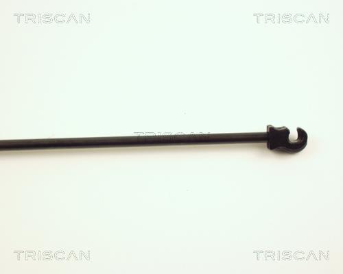 Vérin (Vérin de hayon) Triscan A/S 8710 27202