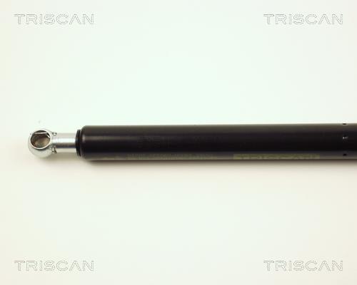 Vérin (Vérin de hayon) Triscan A/S 8710 27207