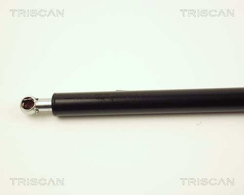 Vérin (Vérin de hayon) Triscan A/S 8710 27209