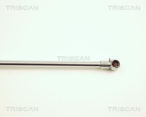 Vérin (Vérin de hayon) Triscan A/S 8710 27209