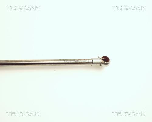 Vérin (Vérin de hayon) Triscan A/S ref. 8710 27211