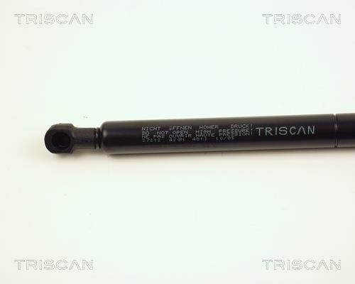 Vérin (Vérin de hayon) Triscan A/S ref. 8710 27212