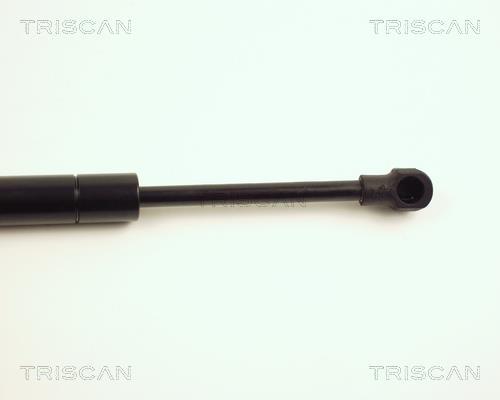 Vérin (Vérin de hayon) Triscan A/S ref. 8710 27212