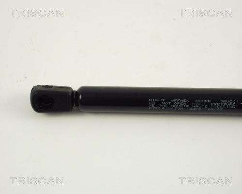 Vérin (Vérin de hayon) Triscan A/S 8710 27214