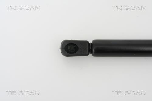 Vérin (Vérin de hayon) Triscan A/S 8710 27215