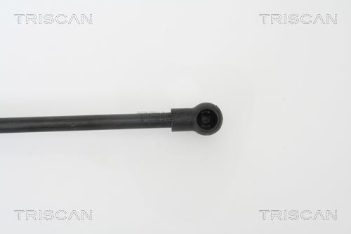 Vérin (Vérin de hayon) Triscan A/S 8710 27215