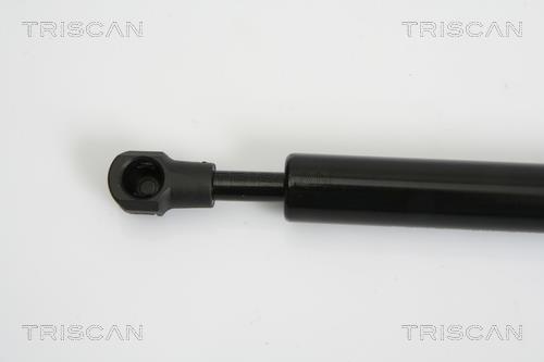 Vérin (Vérin de hayon) Triscan A/S 8710 27217