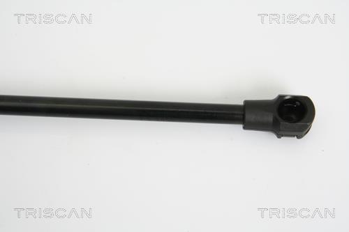 Vérin (Vérin de hayon) Triscan A/S 8710 27217