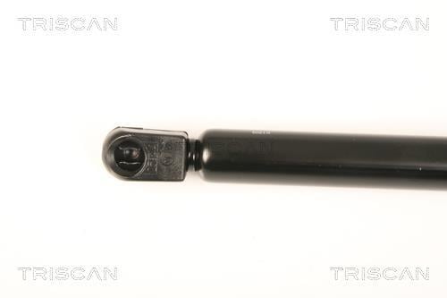 Vérin (Vérin de hayon) Triscan A/S 8710 27219