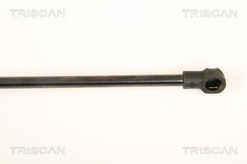 Vérin (Vérin de hayon) Triscan A/S ref. 8710 27220