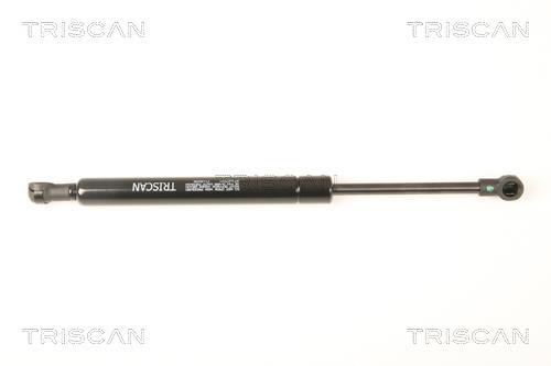 Vérin (Vérin de hayon) Triscan A/S ref. 8710 27221