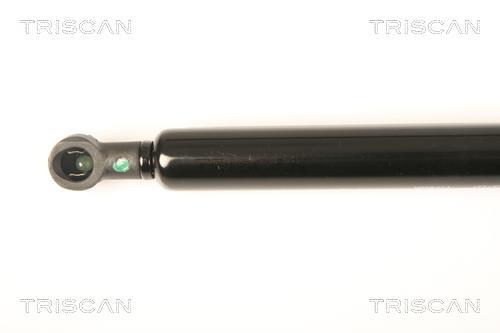 Vérin (Vérin de hayon) Triscan A/S ref. 8710 27221