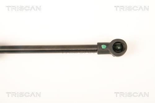 Vérin (Vérin de hayon) Triscan A/S ref. 8710 27221