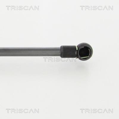 Vérin (Vérin de hayon) Triscan A/S 8710 27226