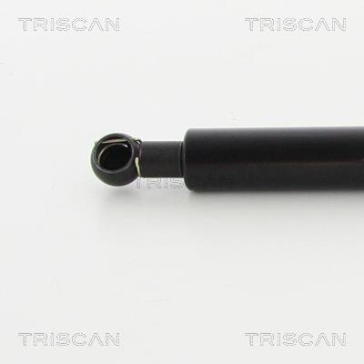 Vérin (Vérin de hayon) Triscan A/S 8710 27226