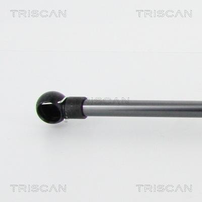 Cilindro Triscan A/S ref. 8710 27227