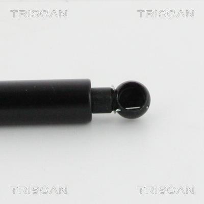 Cilindro Triscan A/S ref. 8710 27227