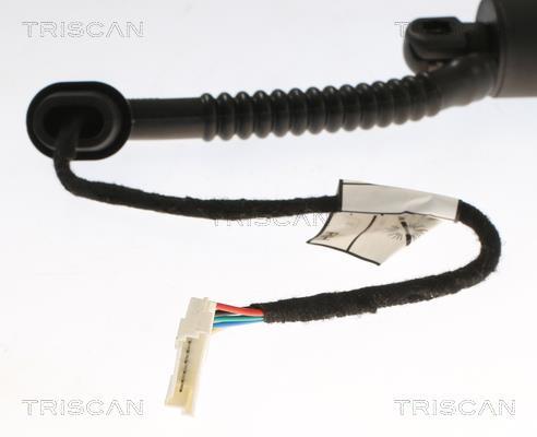 Vérin (Vérin de hayon) Triscan A/S 8710 27302