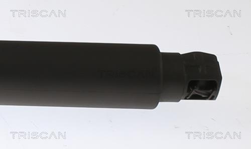 Vérin (Vérin de hayon) Triscan A/S 8710 27302