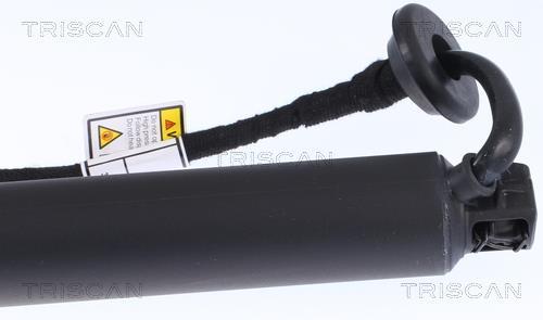 Vérin (Vérin de hayon) Triscan A/S 8710 27302